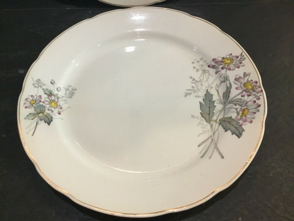 Antique T&R Boote Ironstone Dinner Plates (England)
