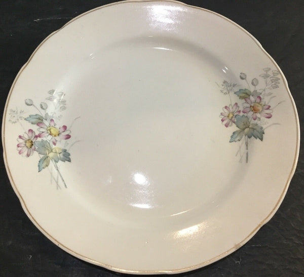 SET OF (8) ANTIQUE T&R BOOTE IRONSTONE DAISY PATTERN 8” SALAD PLATES (ENGLAND)