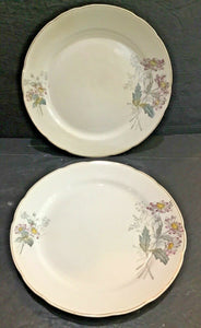 Antique T&R Boote Ironstone Dinner Plates (England)